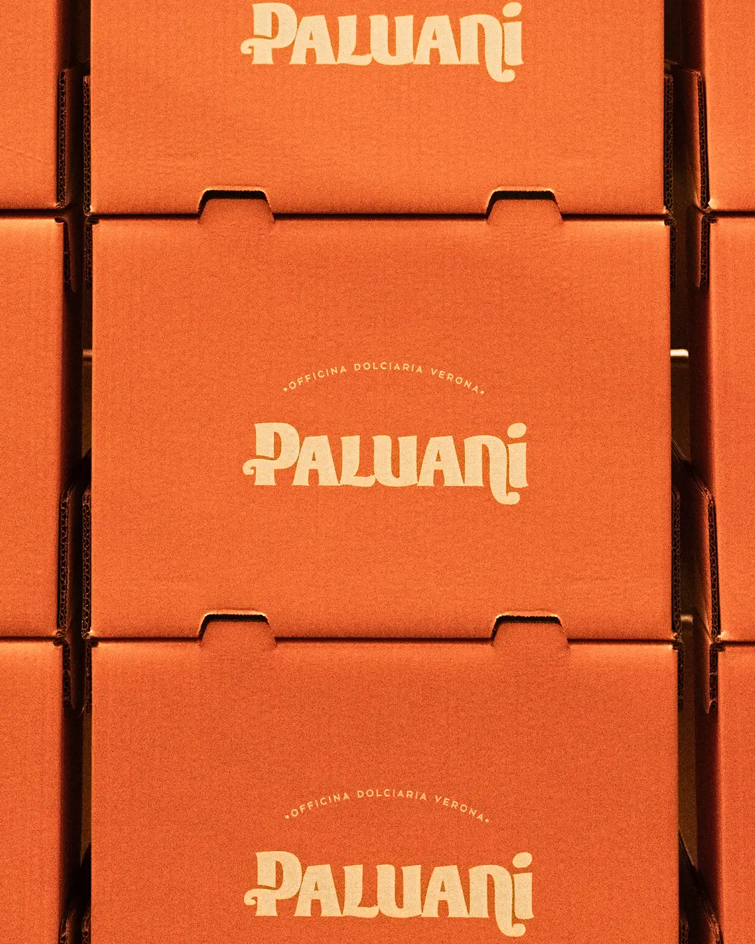 Paluani packaging scatole